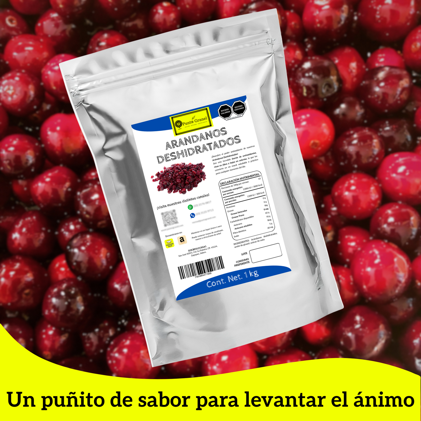Punto Granel Arándanos Deshidratados 1kg