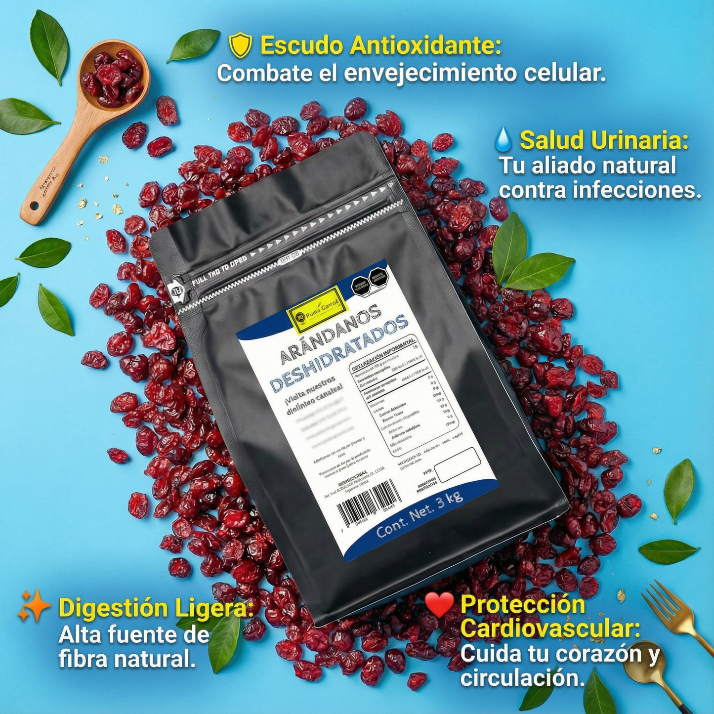 Punto Granel Arándanos Deshidratados Granel 3kg